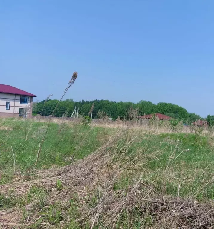 Участок в Хабаровский край, Хабаровский район, с. Краснореченское  ... - Фото 1