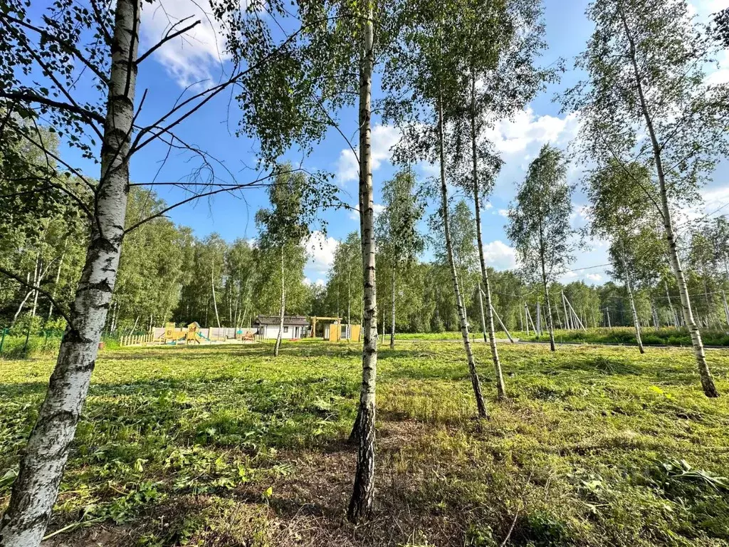 Участок в Московская область, Домодедово городской округ, д. Шишкино ... - Фото 0