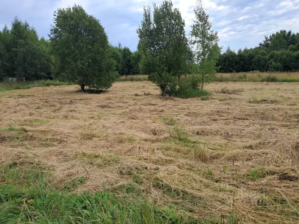 Участок в Московская область, Клин городской округ, д. Кузнецово  ... - Фото 2