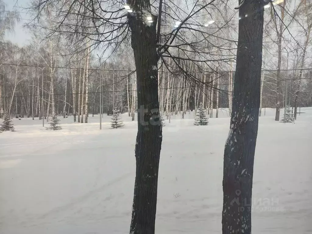 2-к кв. Башкортостан, Бирск Интернациональная ул., 6 (41.2 м) - Фото 2