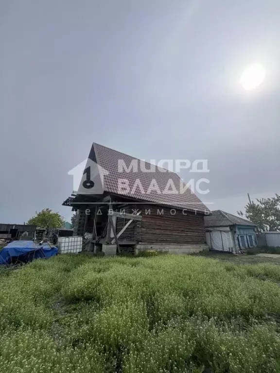 Дом в Омская область, Омский район, Красноярское с/пос, д. Нижняя ... - Фото 1