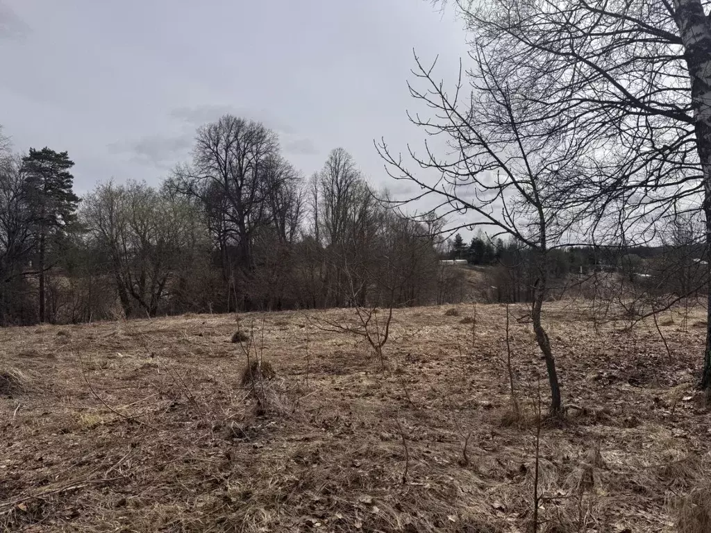 Дом в Московская область, Серпухов городской округ, д. Клейменово 12 ... - Фото 2