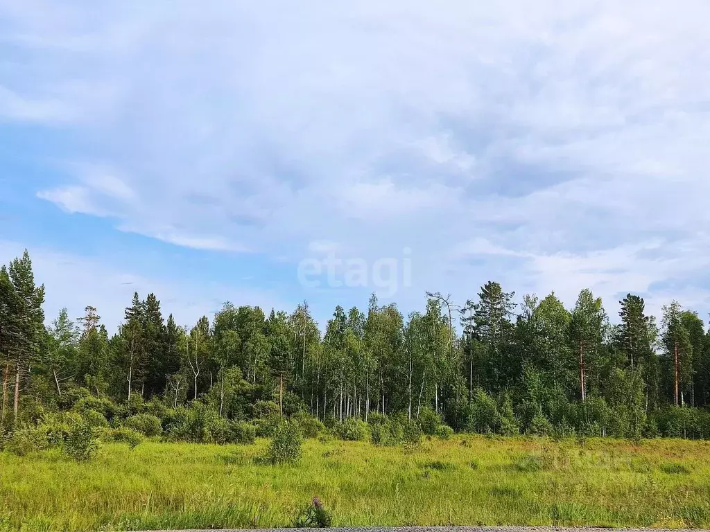 Участок в Бурятия, Кабанский район, с. Сухая  (10.0 сот.) - Фото 0