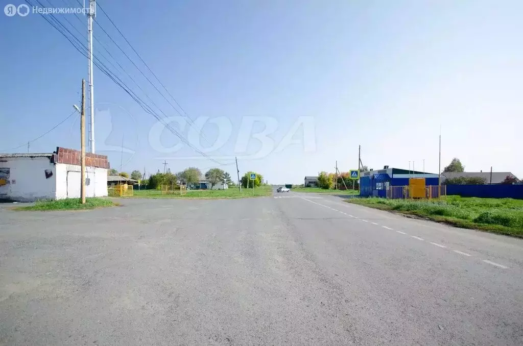 Участок в Тюменская область, Исетский муниципальный округ, село ... - Фото 1