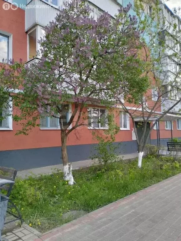 2-комнатная квартира: Старый Оскол, микрорайон Интернациональный, 10 ... - Фото 1
