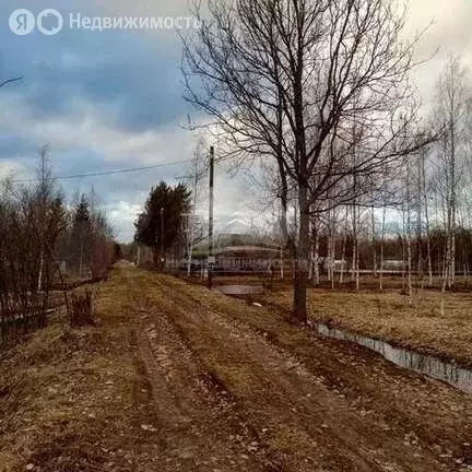 Участок в Панковское городское поселение, садоводческий массив № 3, ... - Фото 0