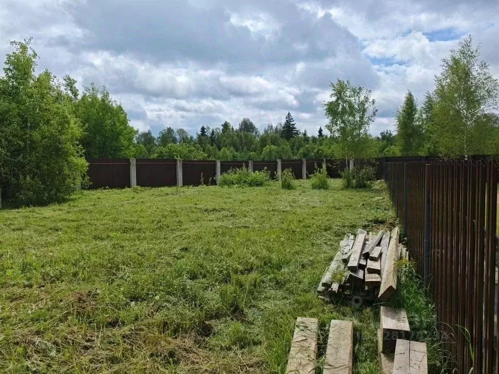 Участок в Московская область, Рузский муниципальный округ, Руза Фэмили ... - Фото 2