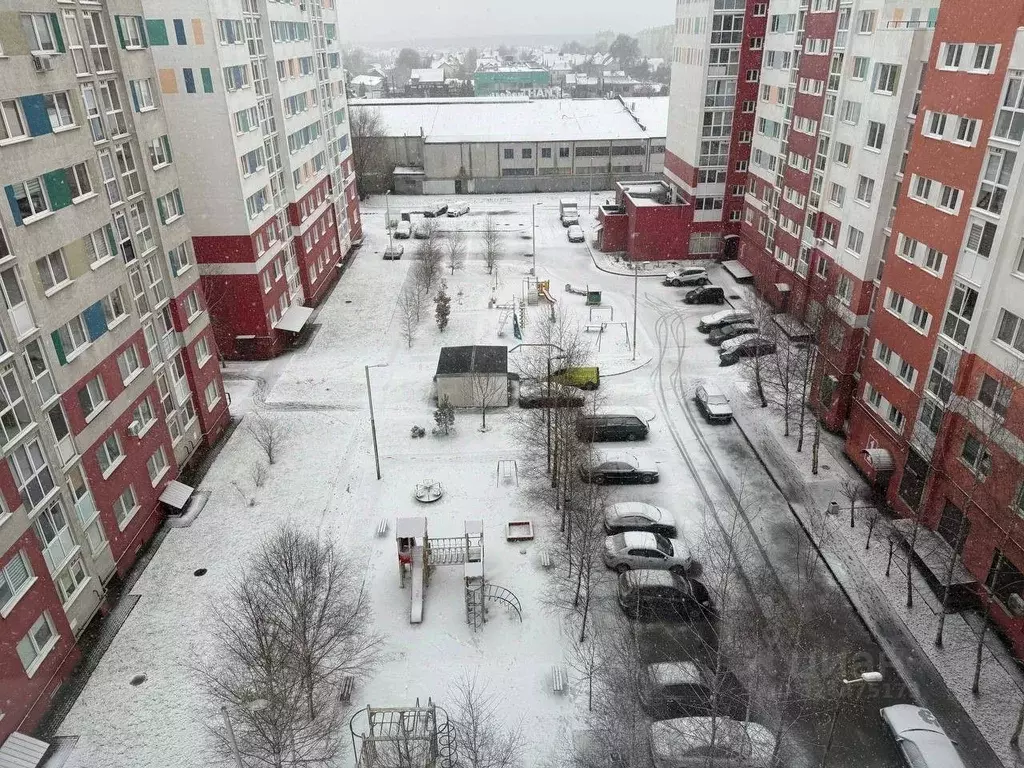 2-к кв. Калининградская область, Калининград Кутаисская ул., 3 (55.0 ... - Фото 2