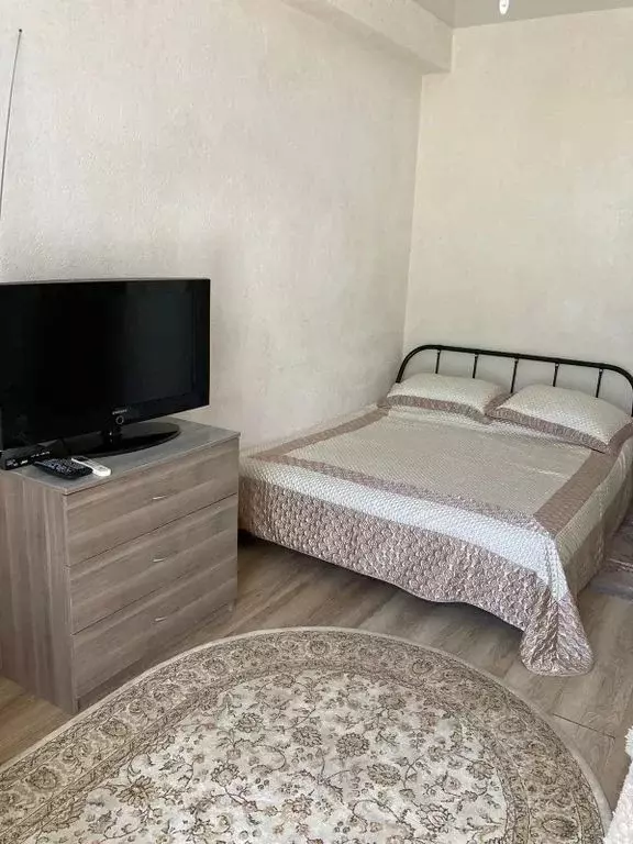 1-к кв. Краснодарский край, Сочи ул. Голенева, 17/4 (28.0 м) - Фото 1