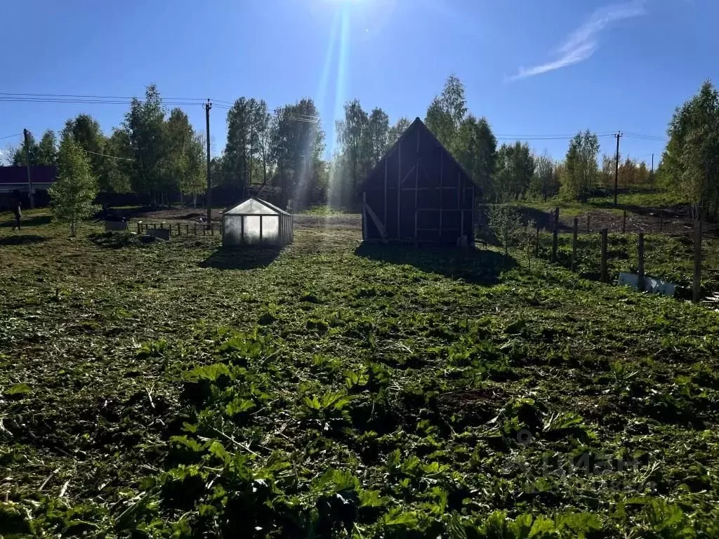 Участок в Новгородская область, Валдай ул. Учхоз (15.0 сот.) - Фото 2