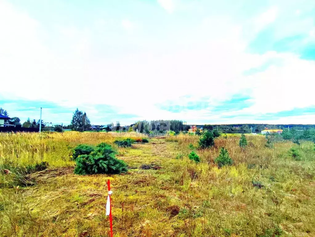 Участок в Московская область, Егорьевск муниципальный округ, д. Жучата ... - Фото 0