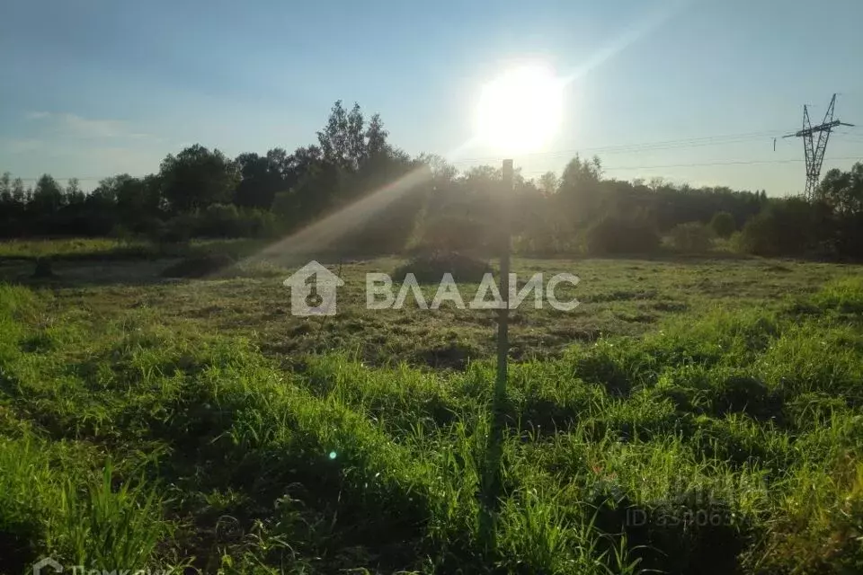 Участок в Московская область, Воскресенск городской округ, д. Старая, ... - Фото 2