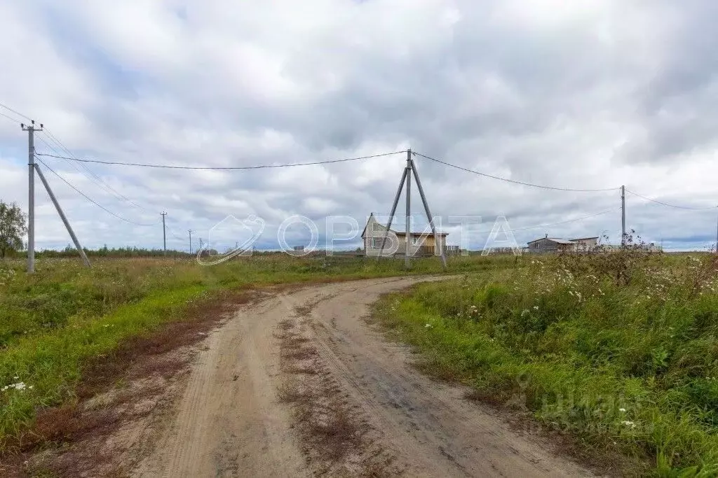 Участок в Тюменская область, Тюменский муниципальный округ, Лебяжье ... - Фото 2
