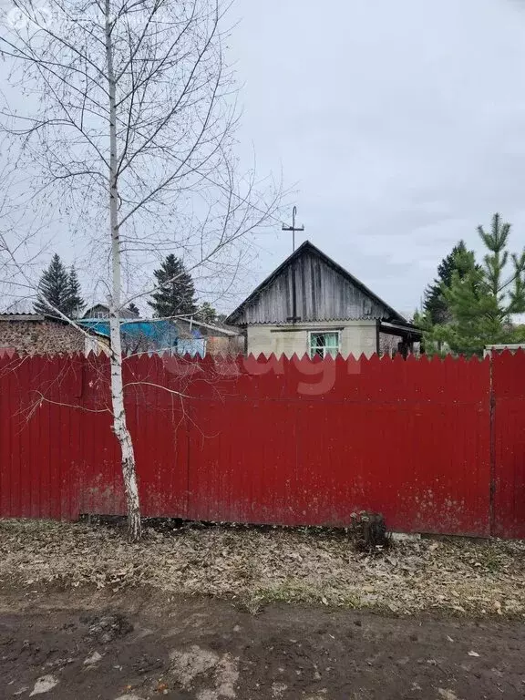 Дом в Омск, территория СОСН Амурский, 1-я аллея (13.9 м) - Фото 1