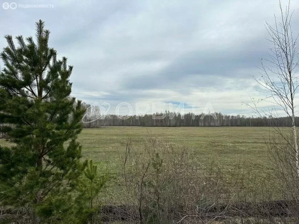 Участок в Тюменский район, деревня Головина (30 м) - Фото 0