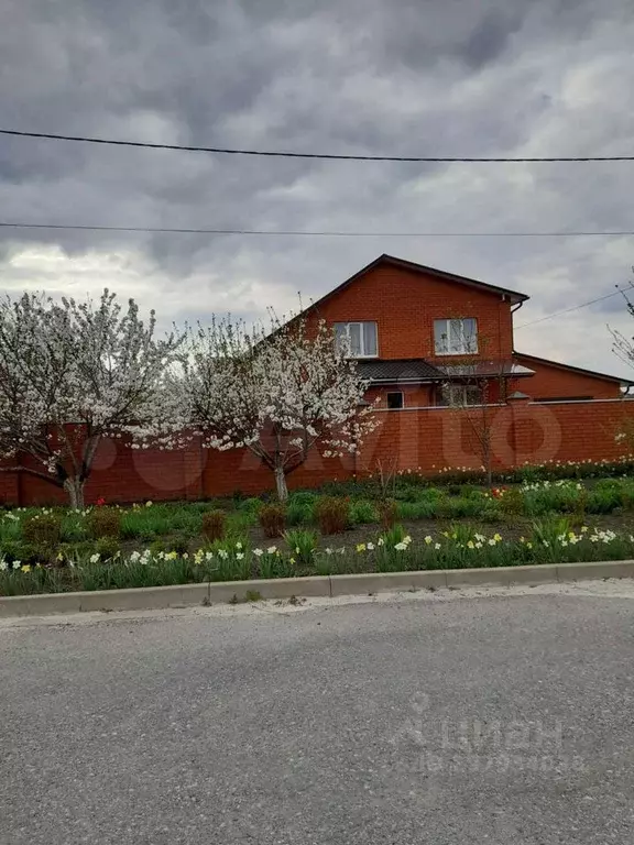 Дом в Белгородская область, Строитель Яковлевский городской округ, ул. ... - Фото 1