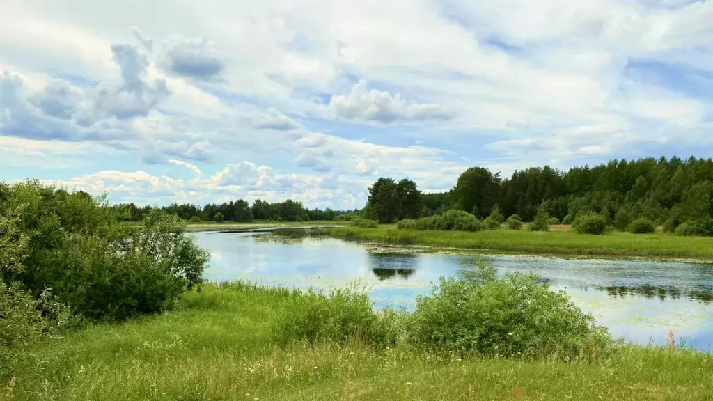 Участок в Тверская область, Бологовский муниципальный округ, д. ... - Фото 0