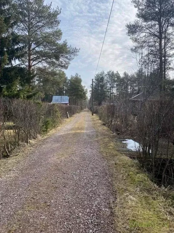 Участок в Ленинградская область, Волховский район, Кисельнинское ... - Фото 1