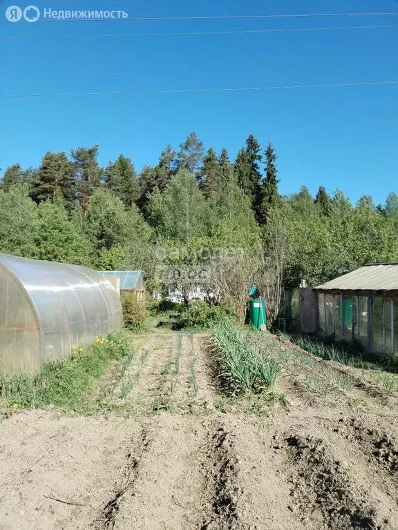 Участок в Московская область, городской округ Солнечногорск, деревня ... - Фото 0