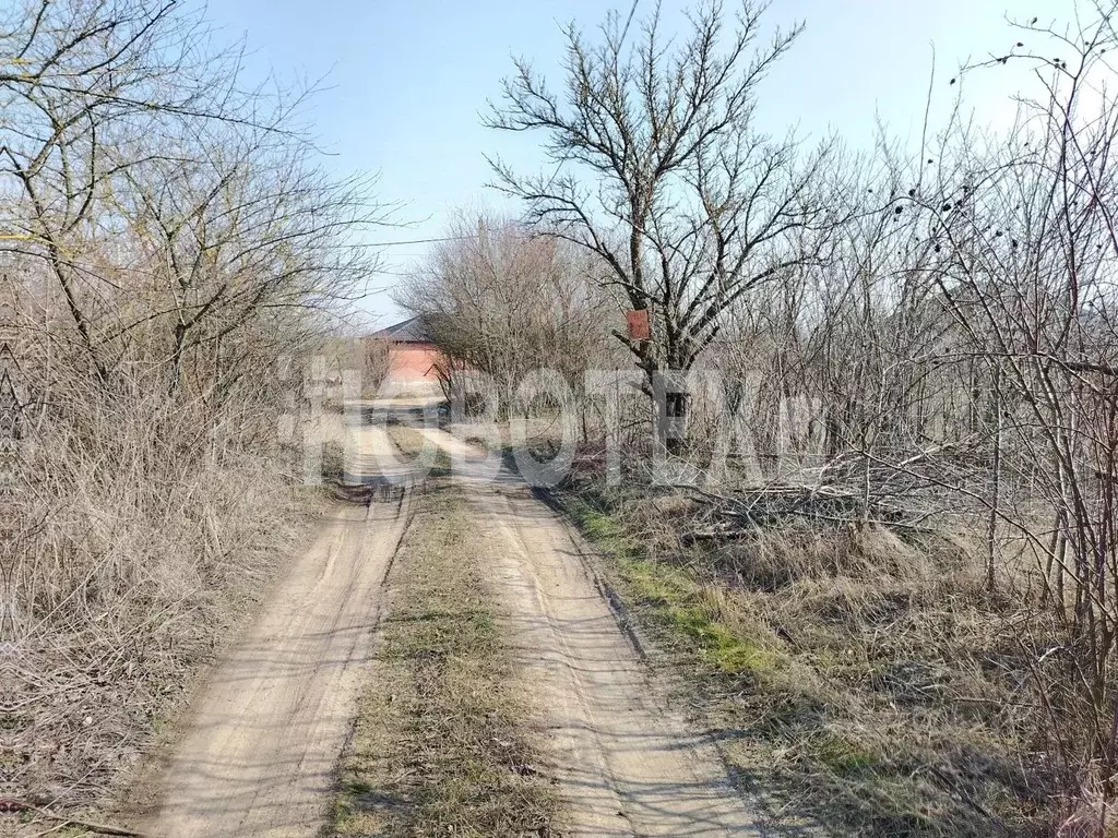 Участок в Краснодарский край, Северская ст-ца, Рассвет СДТ ул. Казачья ... - Фото 1