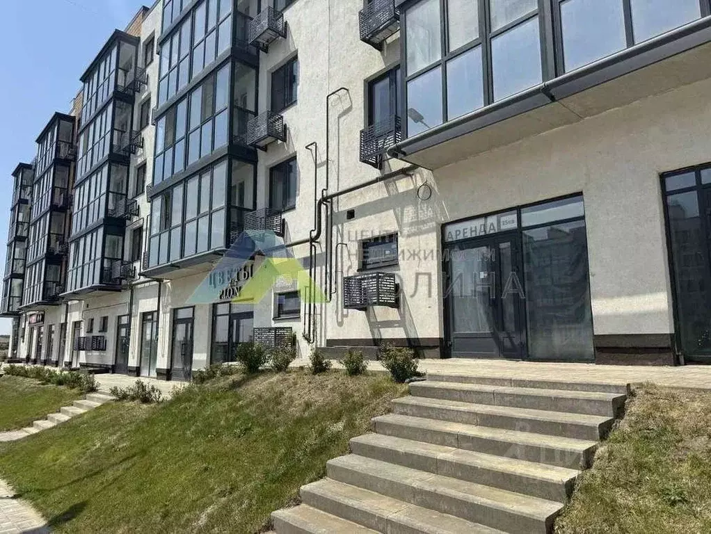Помещение свободного назначения в Волгоградская область, Волгоград ул. ... - Фото 0