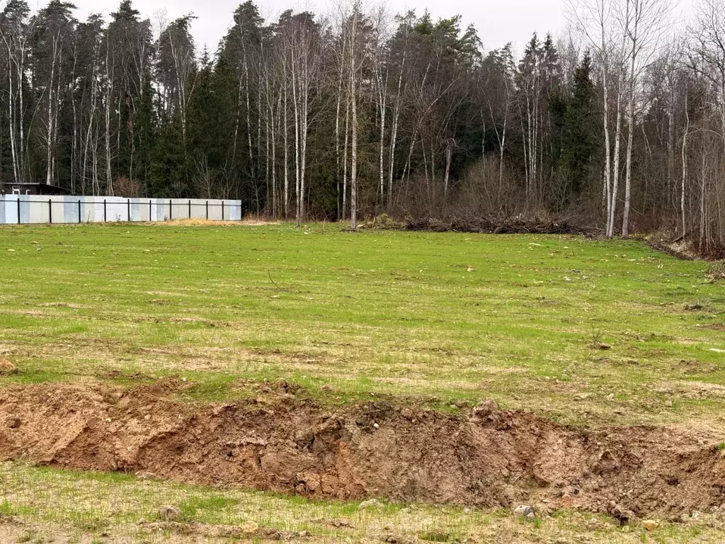 Участок в Московская область, Щелково городской округ, Заозерный СНТ ... - Фото 1