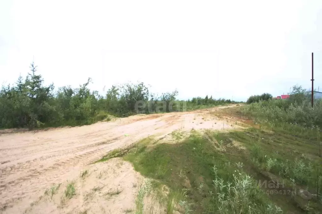 Участок в Ямало-Ненецкий АО, Новый Уренгой ул. Глинки (6.0 сот.) - Фото 1