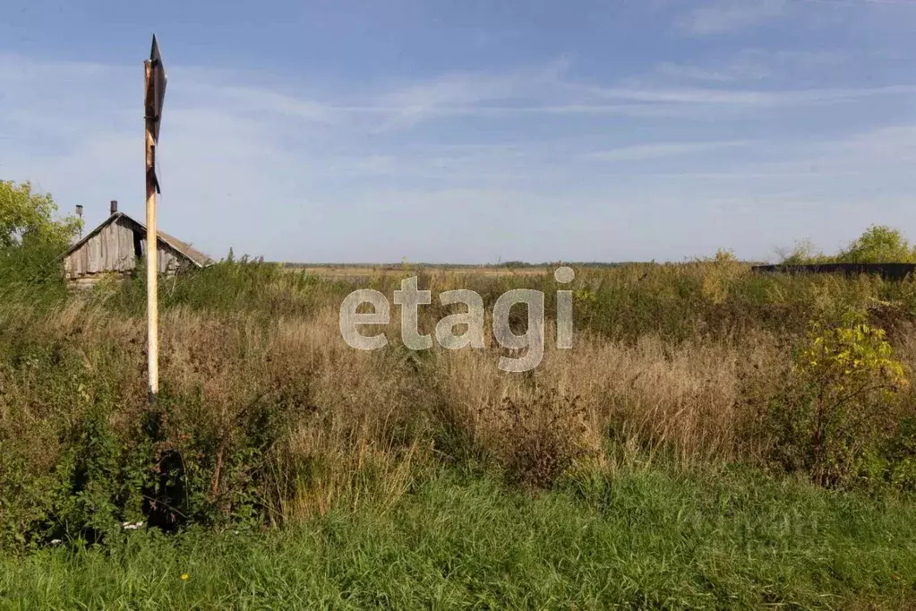 Участок в Тюменская область, Ишимский район, с. Гагарино ул. Мира (7.3 ... - Фото 0