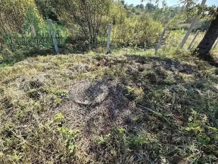 Участок в Смоленская область, Смоленский муниципальный округ, д. Козьи ... - Фото 2