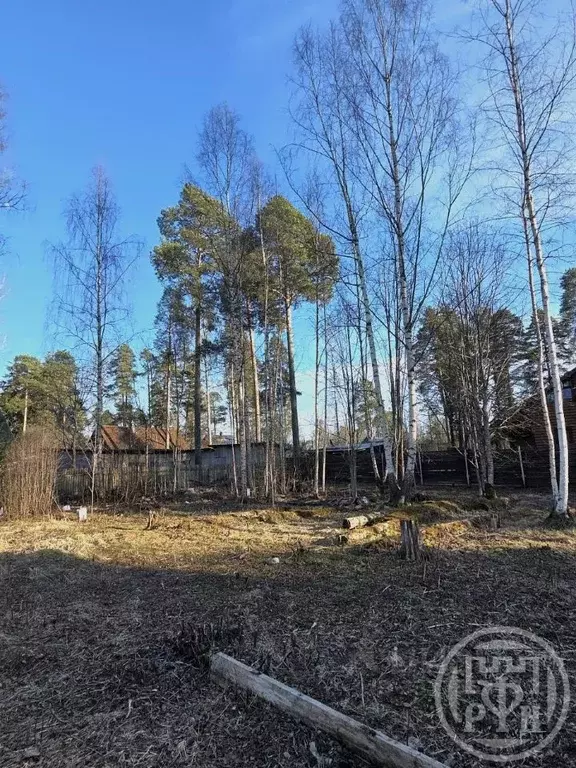 Участок в Ленинградская область, Гатчинский муниципальный округ, ... - Фото 1