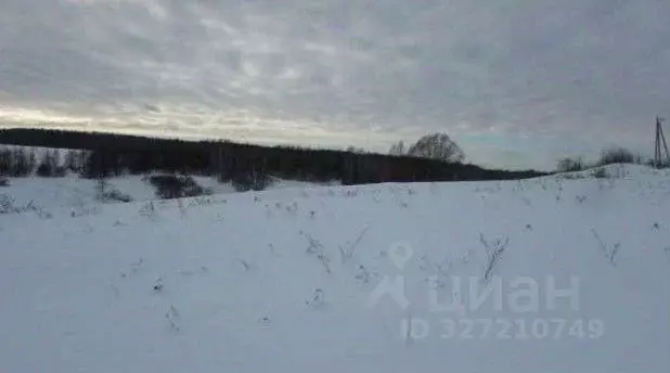 Участок в Московская область, Коломна городской округ, д. Дубна  (12.5 ... - Фото 1