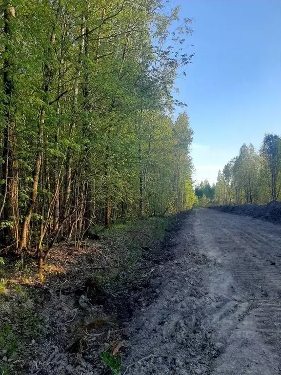 Участок в Ленинградская область, Всеволожский район, Заневское ... - Фото 1