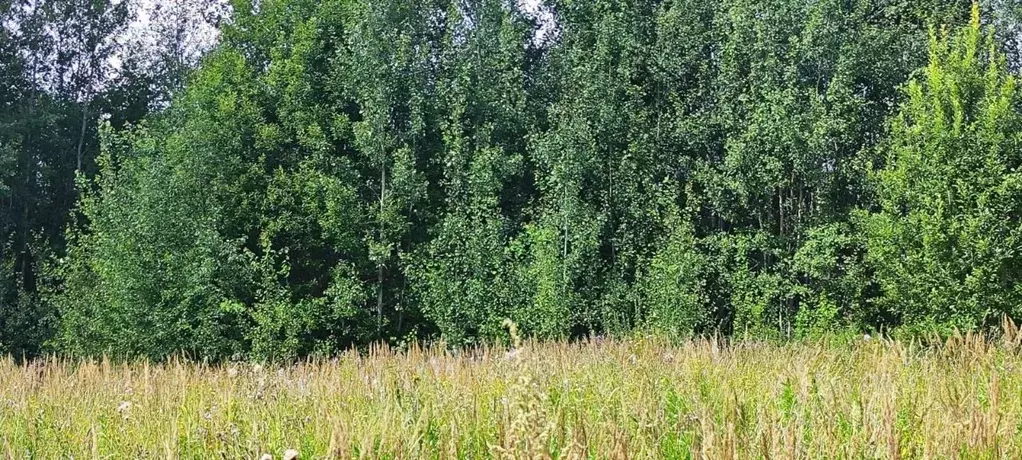Участок в Московская область, Солнечногорск городской округ, д. Мостки ... - Фото 0