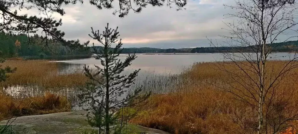 Участок в Карелия, Сортавальский муниципальный округ, пос. ... - Фото 1