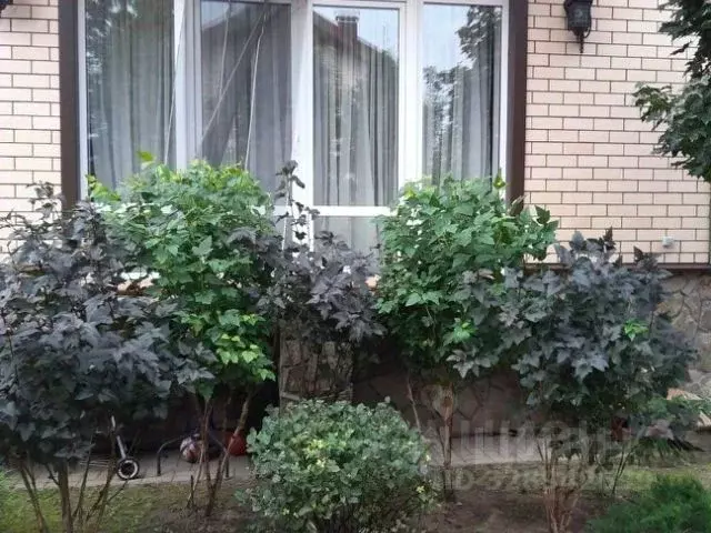 Дом в Московская область, Наро-Фоминский городской округ, д. ... - Фото 1