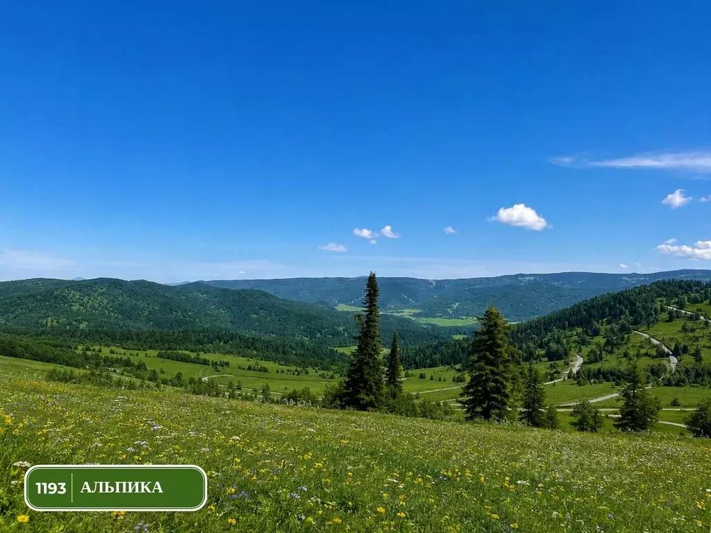 Участок в Алтай, Чемальский район, Элекмонарское с/пос, Седьмое Небо ... - Фото 2