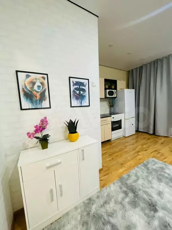 Квартира-студия, 24 м, 10/10 эт. - Фото 0