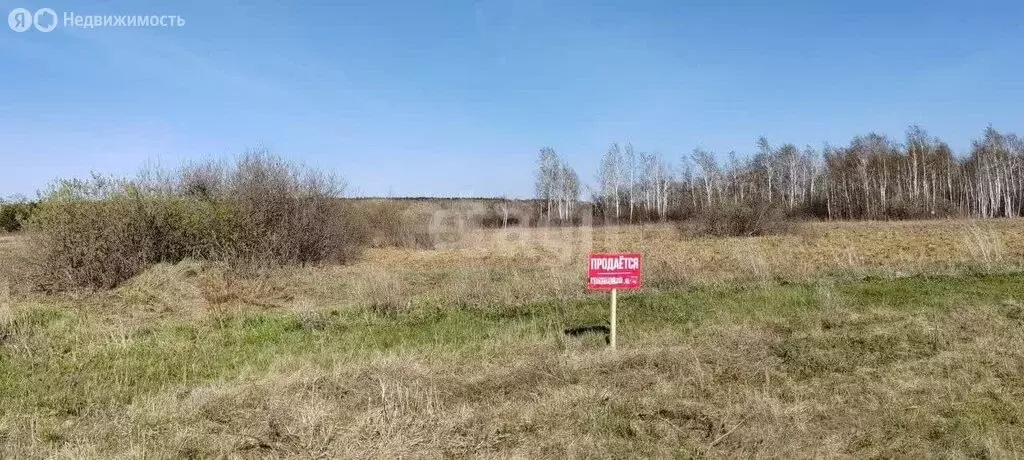 Участок в Свердловская область, Ирбитское муниципальное образование, ... - Фото 2