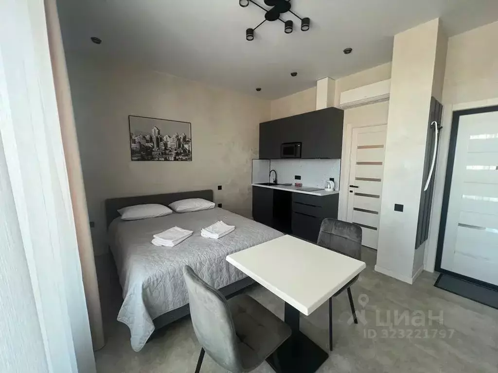 Студия Алтайский край, Барнаул просп. Строителей, 18к1 (26.0 м) - Фото 1