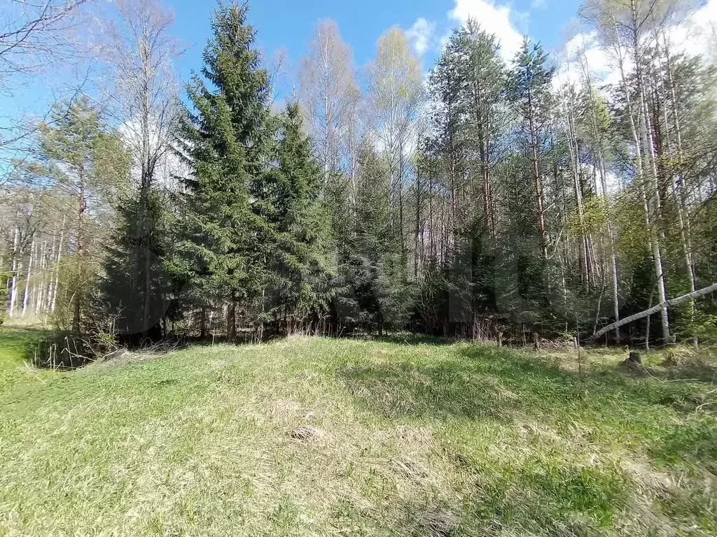 Участок 8 сот. (СНТ, ДНП) - Фото 0