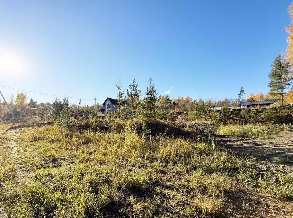 Участок в Ленинградская область, Всеволожский район, Куйвозовское ... - Фото 1