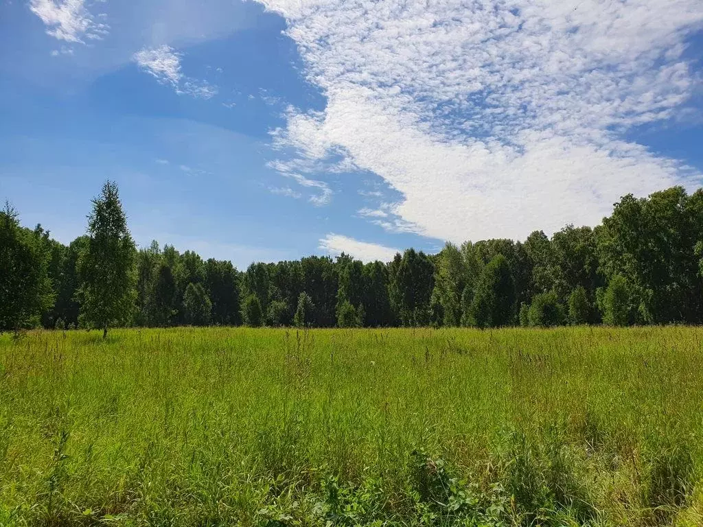 Участок в Пермский край, Ильинский муниципальный округ  (6000.0 сот.) - Фото 2