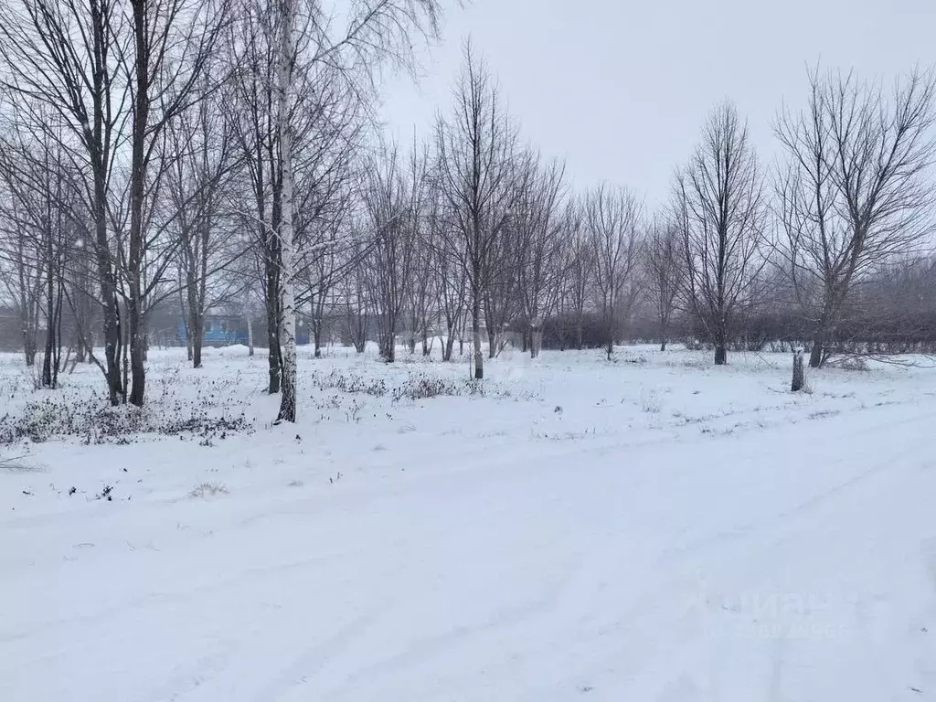Участок в Белгородская область, Красногвардейский район, ... - Фото 0