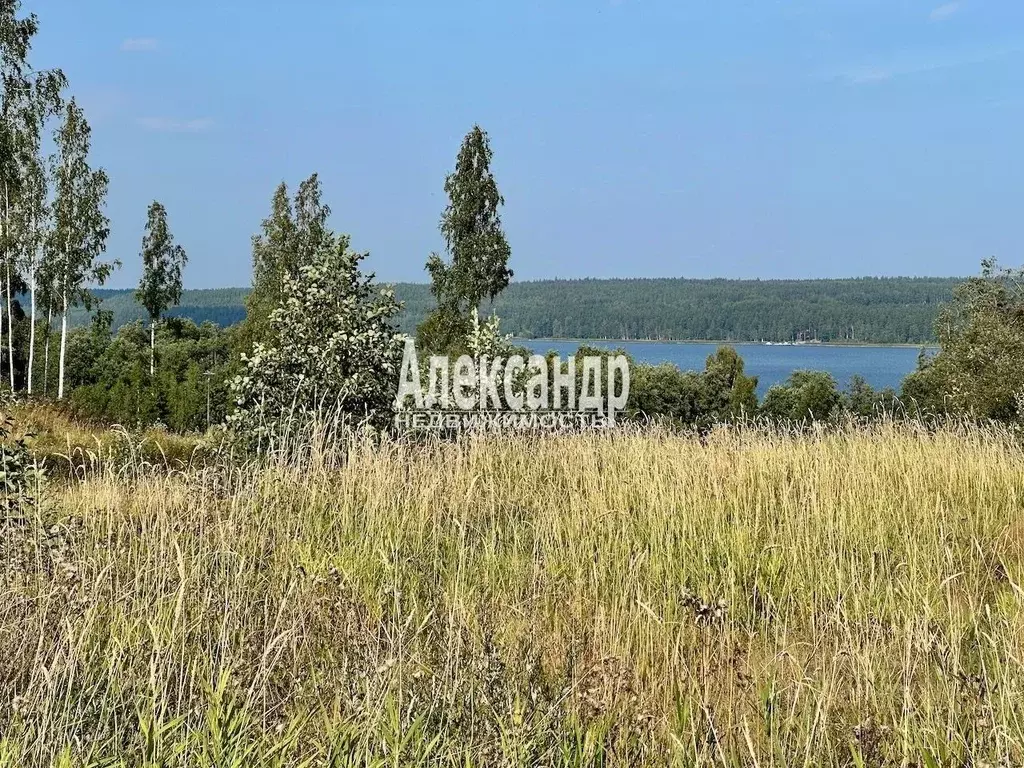 Участок в Ленинградская область, Приозерский район, Петровское с/пос, ... - Фото 0