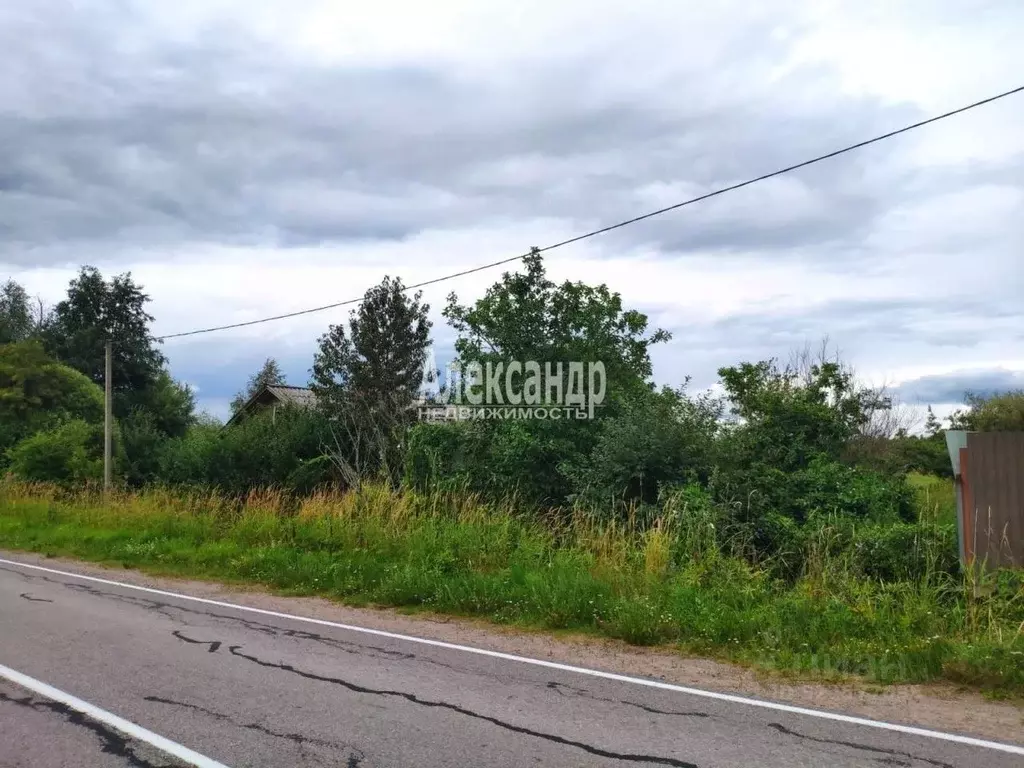 Участок в Ленинградская область, Приозерский район, Плодовское с/пос, ... - Фото 2