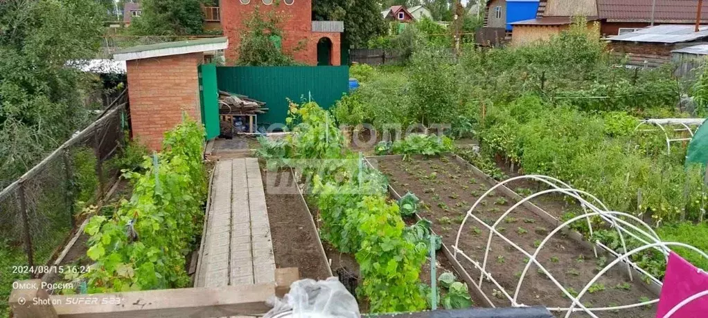 Дом в Омская область, Омск СНТ Колос ТСН,  (25 м) - Фото 0