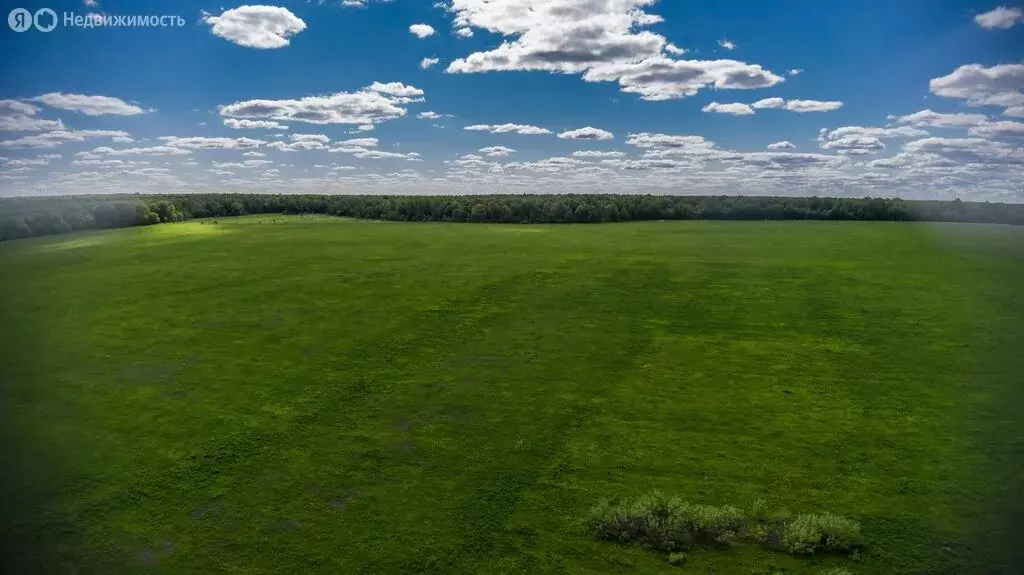 Участок в Республика Башкортостан, городской округ Уфа, деревня ... - Фото 1
