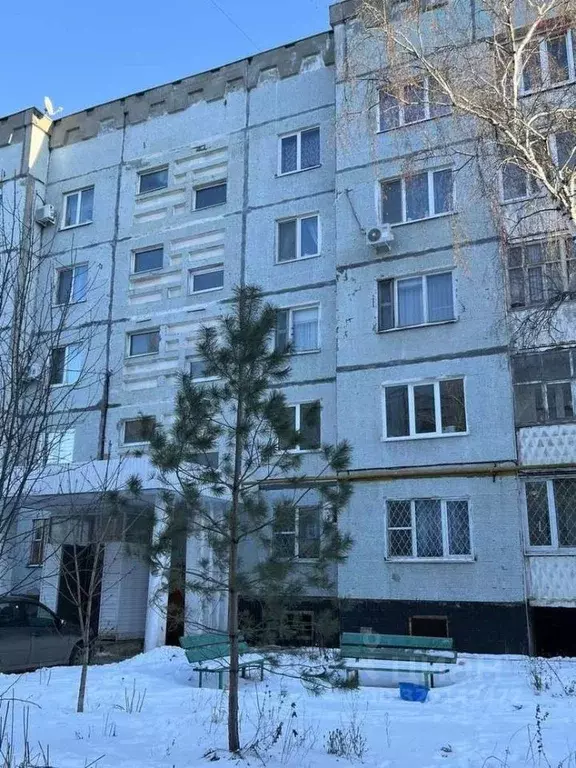 3-к кв. Самарская область, Чапаевск Коммунальная ул., 6 (66.4 м) - Фото 2