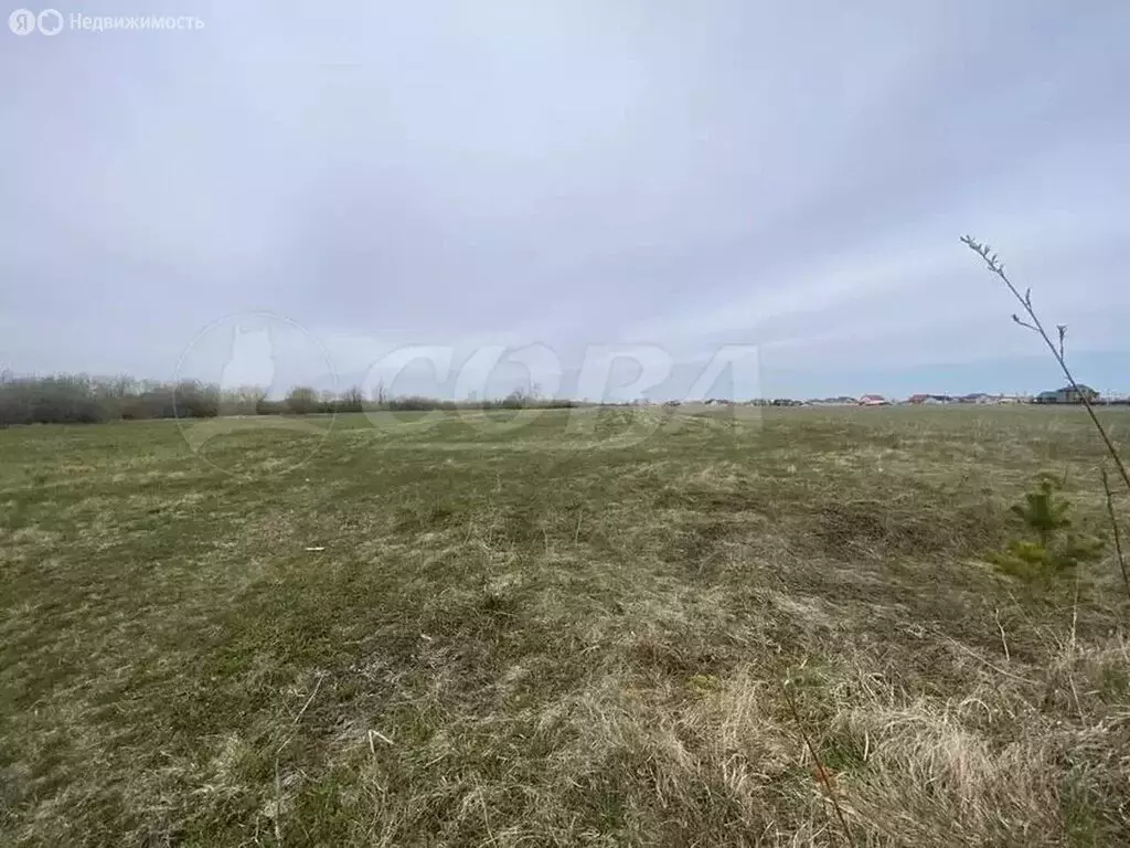 Участок в Тюмень, Ленинский округ (6.8 м) - Фото 0