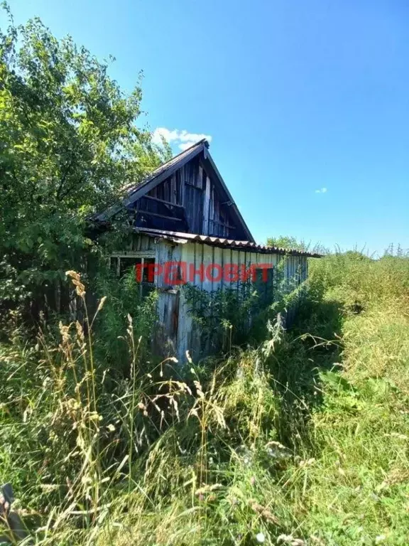 Дом в Новосибирская область, Ордынский район, с. Чингис ул. Кустарная, ... - Фото 0